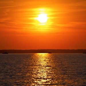 Meet your Posher, Maggie